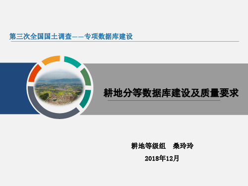 耕地分等调查评价数据库建设及质量要求(12月全国培训)