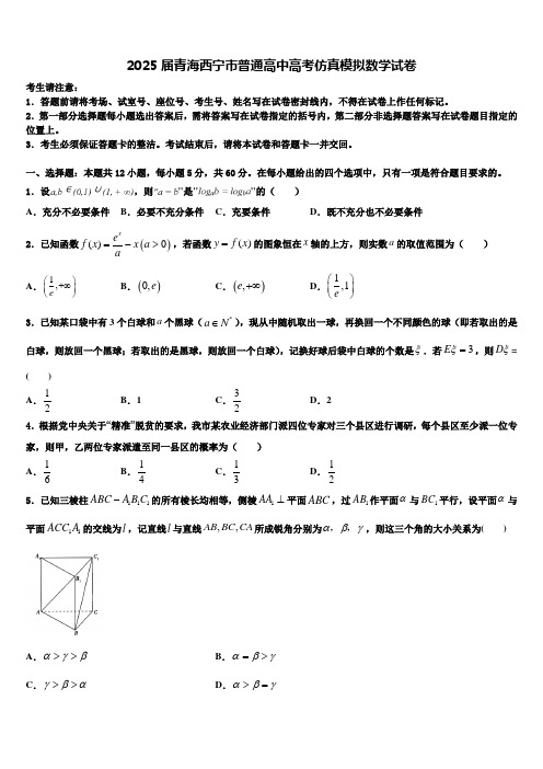 2025届青海西宁市普通高中高考仿真模拟数学试卷含解析