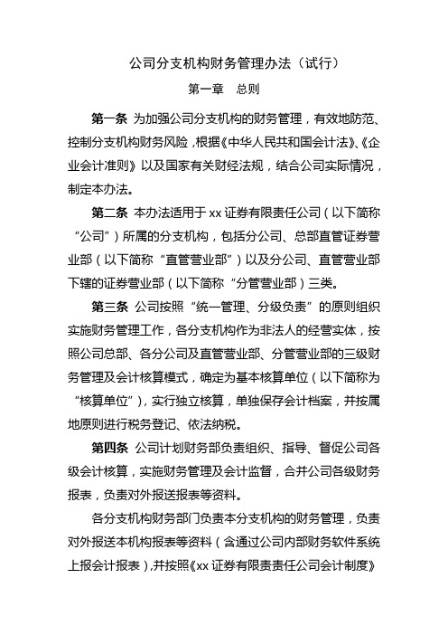 公司分支机构财务管理办法(试行)模版