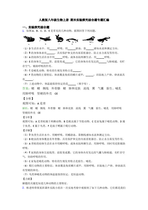 人教版八年级生物上册 期末实验探究综合题专题汇编