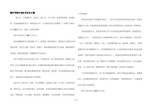 端午节高中800字左右5篇