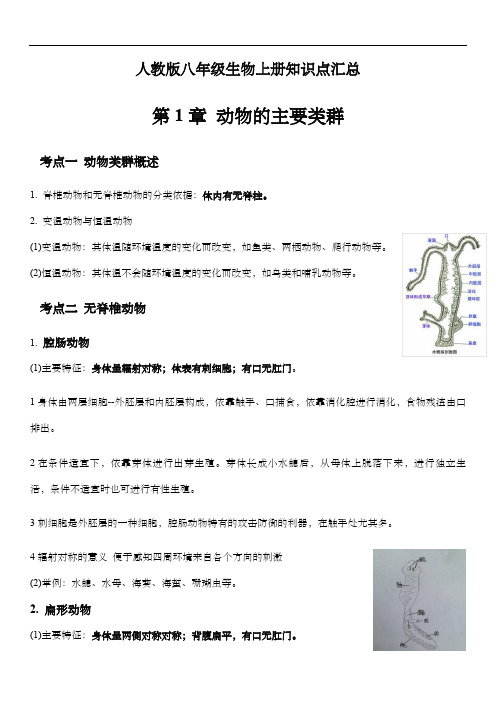 人教版八年级生物上册第五单元第一章动物的主要类群知识点总结