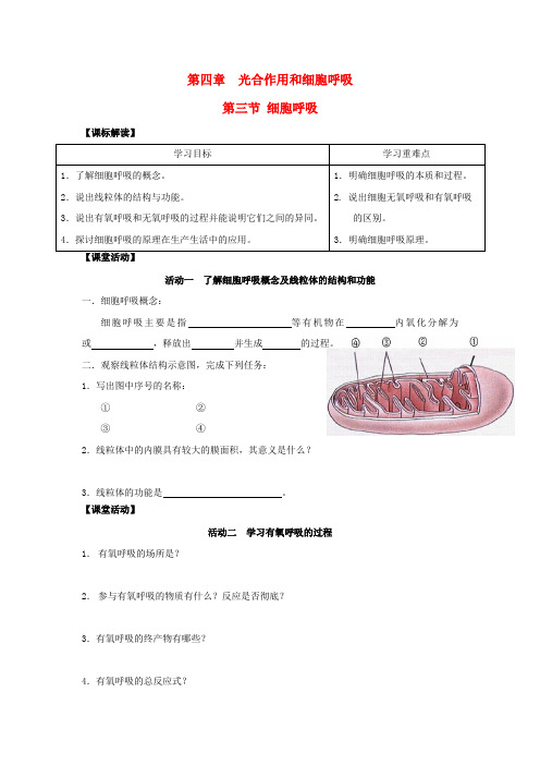 高中生物 4.3.1 细胞呼吸导学案(必修1)