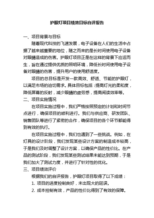 护眼灯项目绩效目标自评报告