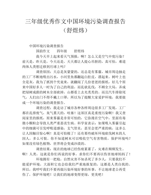 三年级优秀作文中国环境污染调查报告(舒煜炜)