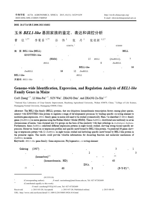 玉米BEL1-like基因家族的鉴定、表达和调控分析