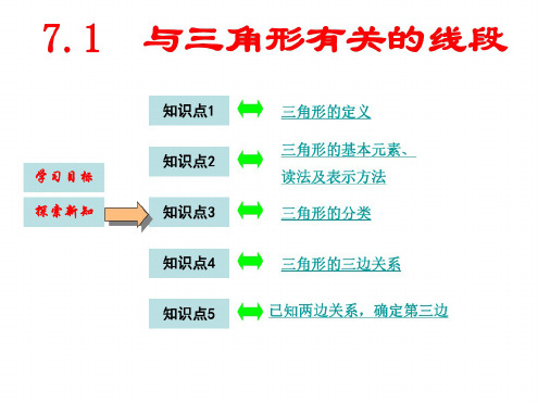 七年级数学三角形的边2