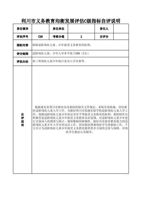 思源 28个C级指标自评说明表(28个)责任表