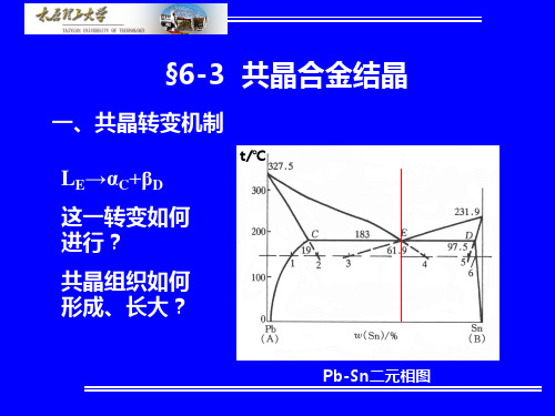 材料科学基础-材料科学基础-§6-3 共晶合金的结晶