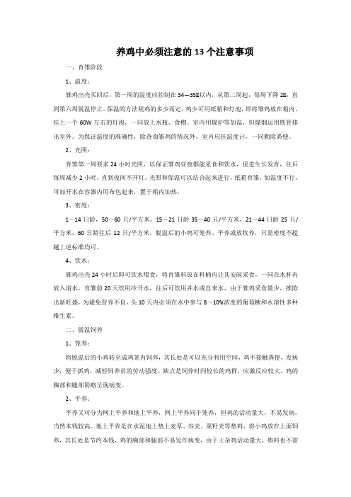 养鸡中必须注意的13个注意事项