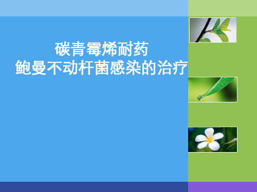 碳青霉烯耐药鲍曼不动杆菌感染的治疗完整版本