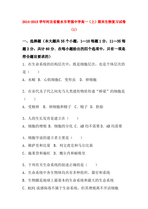 河北省衡水市枣强中学20152016学年高一生物上学期期末复习试卷含解析