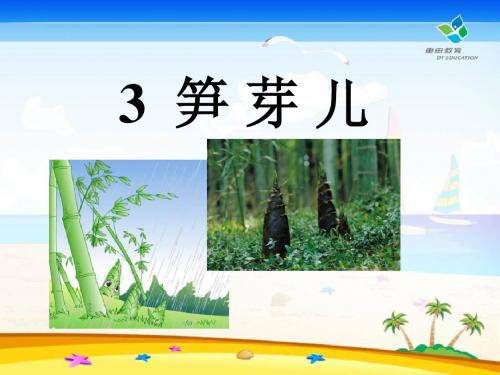 《笋芽儿》PPT课件8 (共17张PPT)