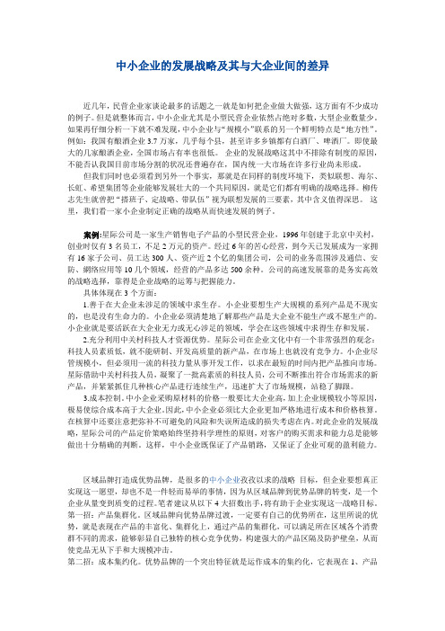 中小企业的发展战略及其与大企业间的差异