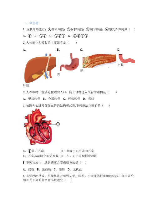 鲁科版生物 七年级上册 第一章 人的由来 课后练习题