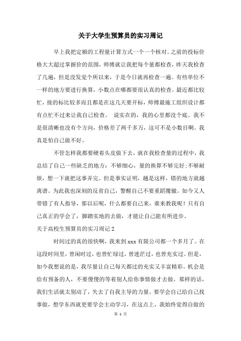 关于大学生预算员的实习周记