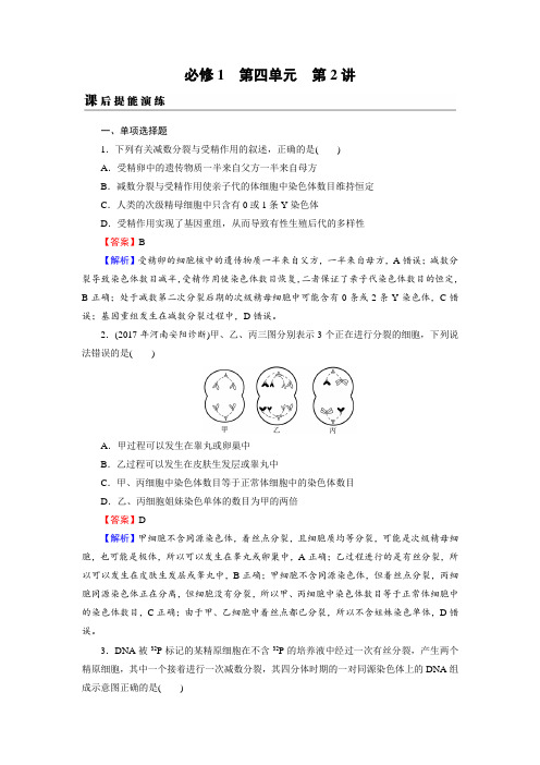 高考生物一轮复习基础夯实练必修1 第4单元 第2讲 课后