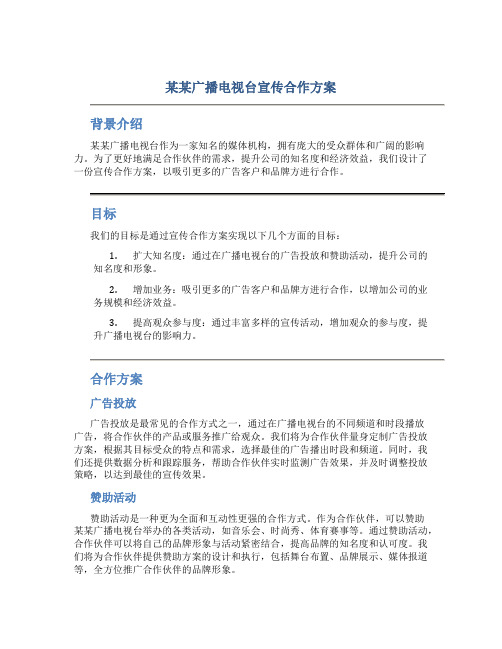 某某广播电视台宣传合作方案 (4)