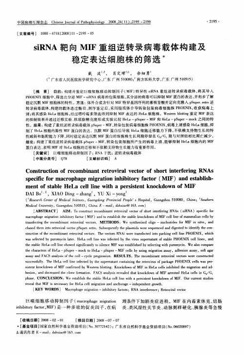 siRNA靶向MIF重组逆转录病毒载体构建及稳定表达细胞株的筛选
