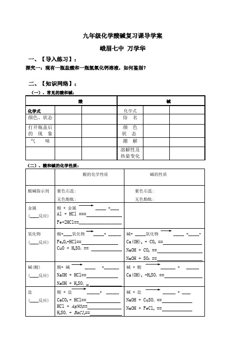 九年级化学酸碱复习课教学设计
