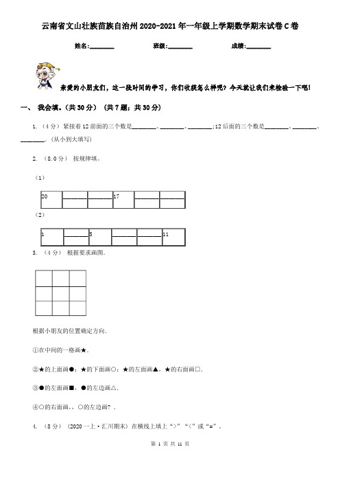 云南省文山壮族苗族自治州2020-2021年一年级上学期数学期末试卷C卷