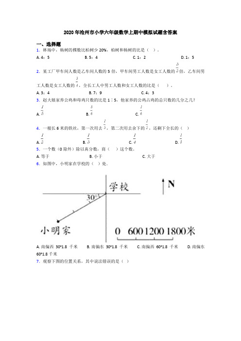 2020年沧州市小学六年级数学上期中模拟试题含答案