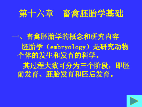 第十六章畜禽胚胎学基础