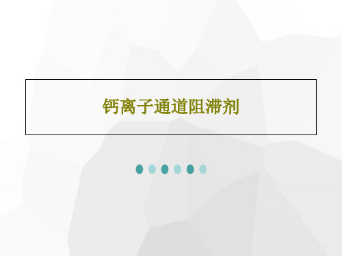 钙离子通道阻滞剂共26页