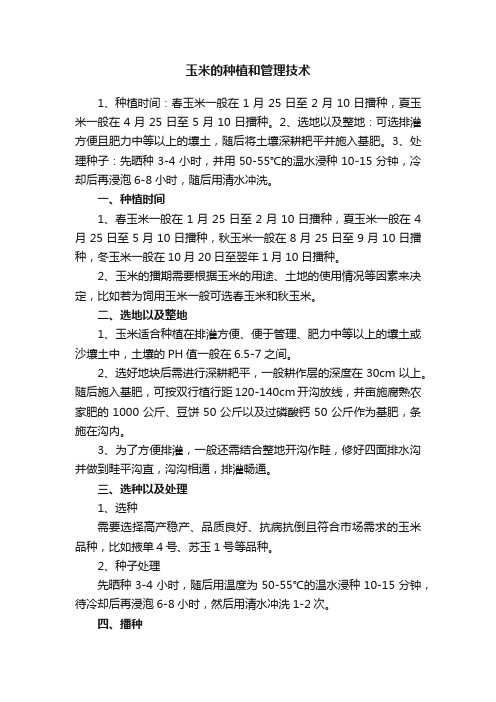 玉米的种植和管理技术