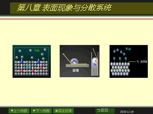 物理化学简明教程第八章山东大学