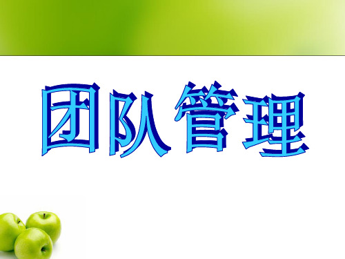 团队管理(PPT 33页)