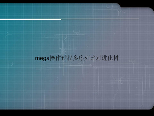 mega操作过程多序列比对进化树ppt文档