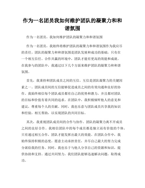 作为一名团员我如何维护团队的凝聚力和和谐氛围