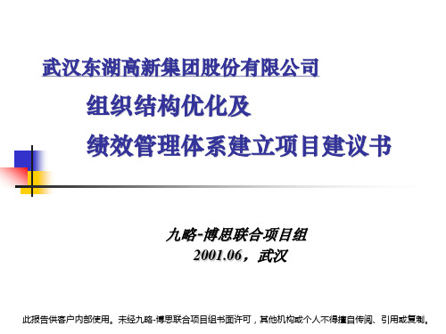 九略武汉东湖高新集团组织结构优化及绩效管理体系建立项目建议书