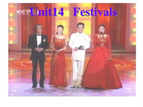 英语：高一下Unit14_Festivals全单元课件4(旧人教版)