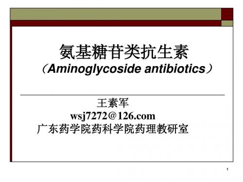 氨基糖苷类抗生素