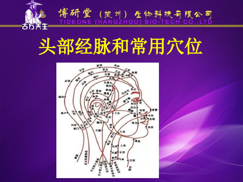 头部常用穴位及经络(1)