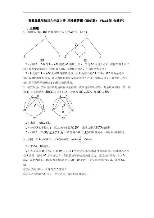 苏教版数学初三九年级上册 压轴解答题(培优篇)(Word版 含解析)