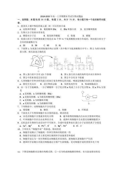 2019-2020年高一上学期期末考试生物试题(I)