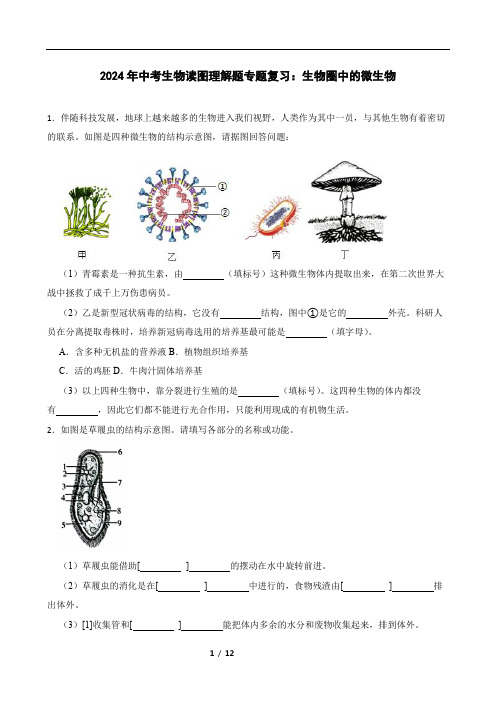 2024年中考生物读图理解题专题复习：生物圈中的微生物