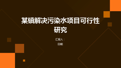 某镇解决污染水项目可行性