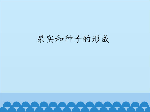 济南出版社(初中二年级)八年级生物上册果实和种子的形成_课件1