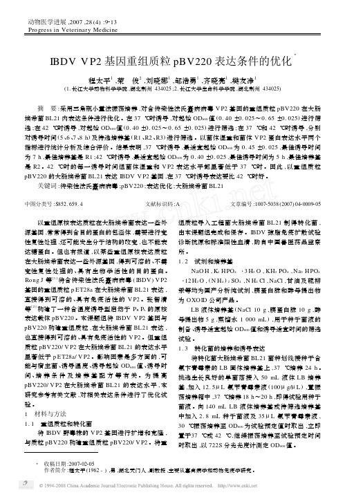 IBDVVP2基因重组质粒pBV220表达条件的优化