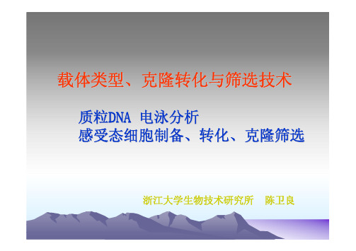 浙江大学分子生物学课件(载体的类型、克隆)