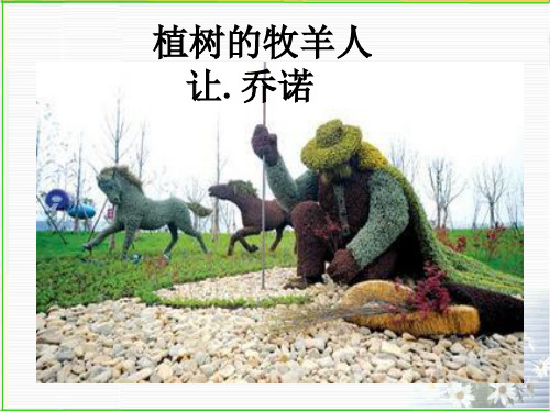 《植树的牧羊人》ppt