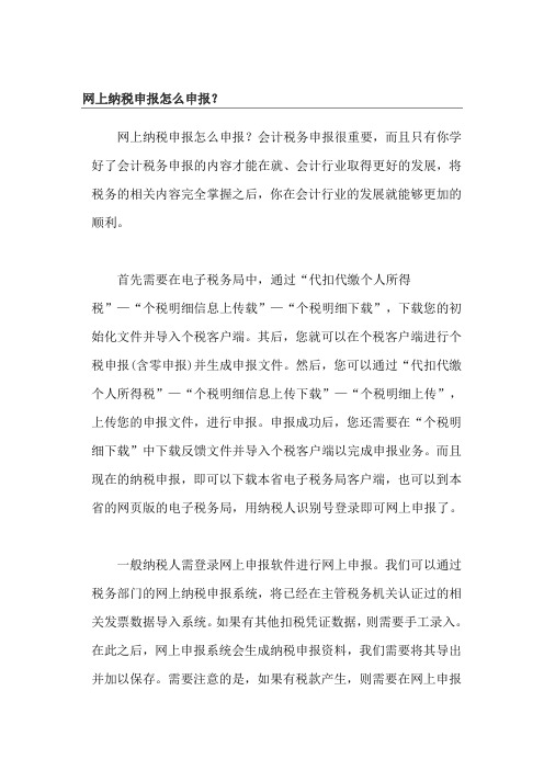 网上纳税申报怎么申报