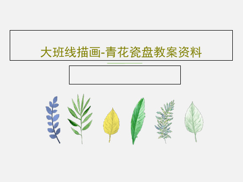 大班线描画-青花瓷盘教案资料共18页文档