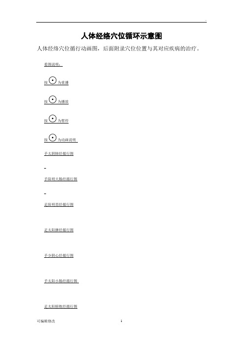 人体经络穴位循环示意图