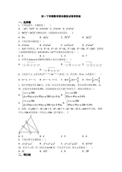 初一下学期数学期末模拟试卷带答案