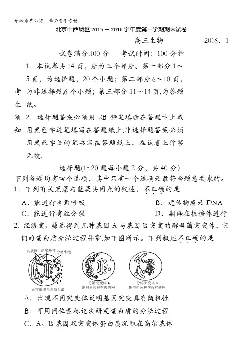 北京市西城区2016届高三上学期期末考试生物试卷 含答案